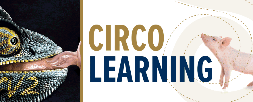 Circo Learning Carousel Banner