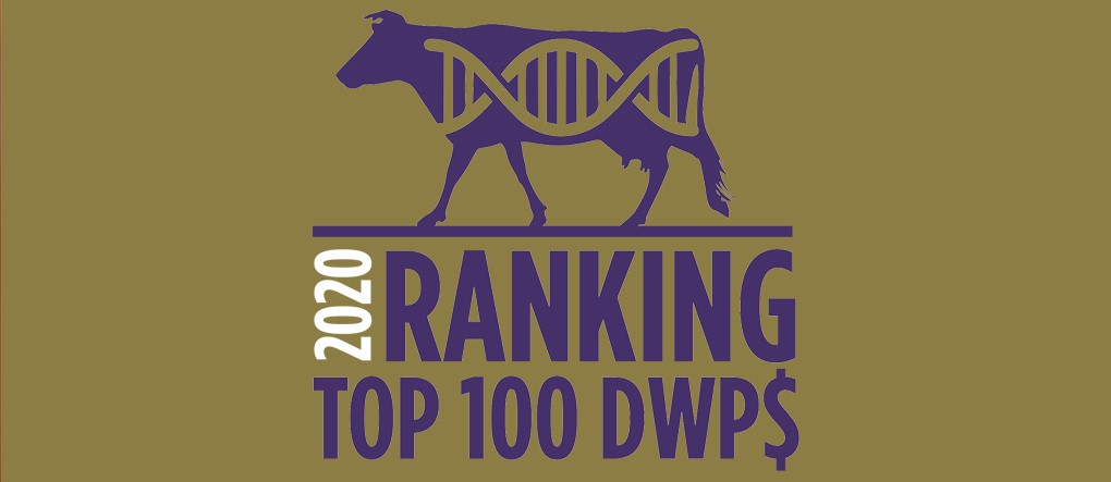 RANKING TOP 100 DWP$ ITALIA