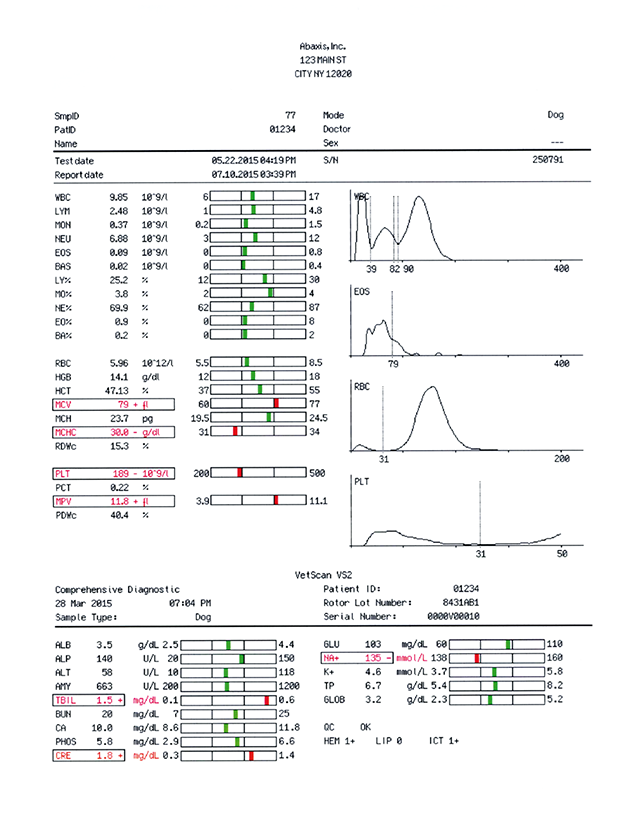 VETSCAN HM5c hematology analyzer