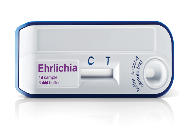 Ehrlichia Rapid Test