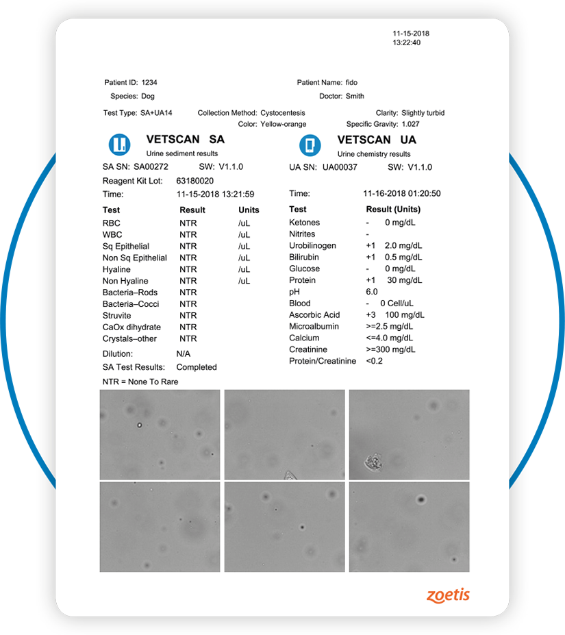 VS2_step3 Read results